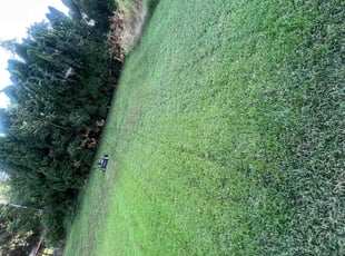 James J.'s Lawn Mowing service result