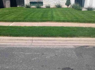 Ceci T.'s Lawn Mowing service result