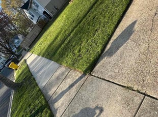 Sandra H.'s Lawn Service service result
