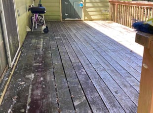 Cleanups by Robert Huntsinger for Cat B. in Tallahassee, FL