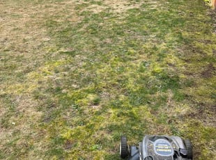 Leaf Removal by Richard Luiza Jr for Brandon W. in Everett, WA