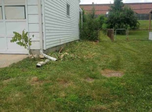 Weeding by James Buchanan for Pamela M. in Independence, MO