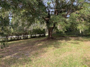Leaf Removal by Devin Thorne for Charmaine I. in Palm Coast, FL