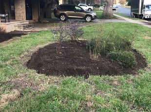 Cleanups by Margarito Cardona for Jeffrey M. in Fairfax, VA