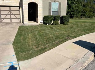 Bush Trimming by Gabriel Sosa for David C. in San Antonio, TX