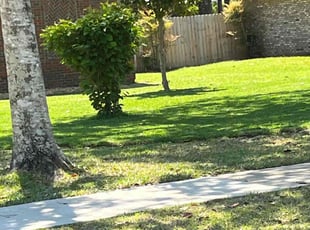 Shirell G.'s Lawn Maintenance service result