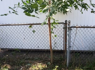Weeding by Robert Otero for Andrew P. in Saint Paul, MN