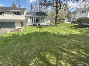 Adrian D.'s Lawn Service service result