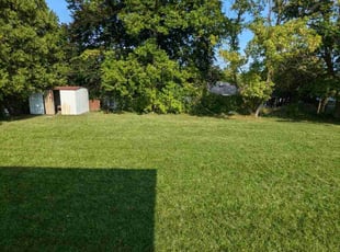 Wayne P.'s Lawn Mowing service result