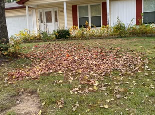 Leaf Removal by Craig Linebaugh for Kyle L. in St. Peters, MO