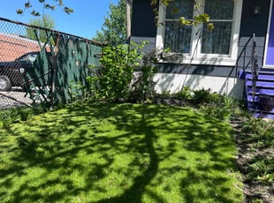 Benjamin J.'s Yard Cutting service result