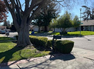 Bush Trimming by Robert Macias for Latrice C. in Sacramento, CA