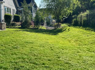 Dwight B.'s Lawn Care service result