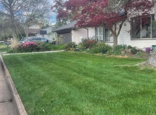 Travors I.'s Lawn Service service result