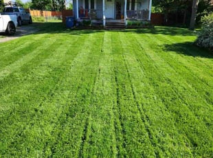 Jack J.'s Lawn Service service result
