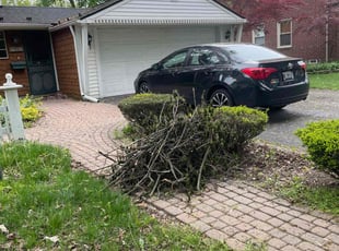 Leaf Removal by Andrew Snell for Ellisif C. in Redford Charter Township, MI