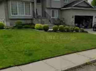 Richard C.'s Lawn Mowing Service service result