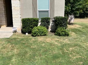 Bush Trimming by Gabriel Sosa for David C. in San Antonio, TX
