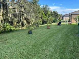 Deanna W.'s Lawn Service service result