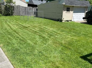Christine C.'s Lawn Care service result