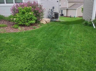 Floyd H.'s Lawn Care service result