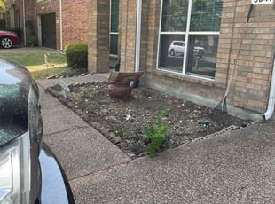 Cleanups by Alexander Flores for Erin B. in Frisco, TX