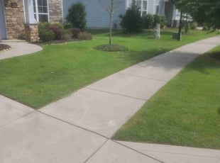 Joshua C.'s Lawn Mowing service result