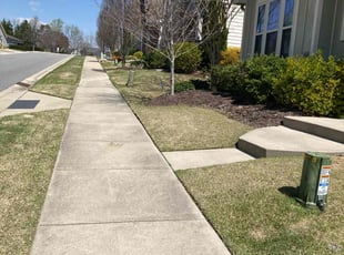 Kyla B.'s Lawn Mowing service result