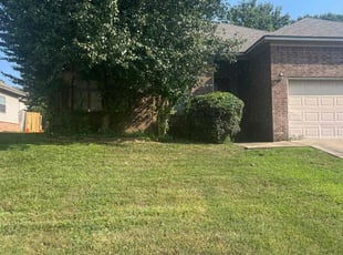 Bush Trimming by James Cathey for Chris P. in Maumelle, AR