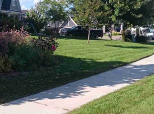 Gloria W.'s Lawn Mowing Service service result
