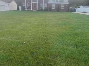 Aijaz D.'s Lawn Maintenance service result