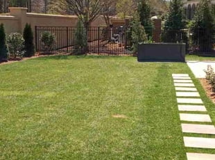 Ashley F.'s Grass Cutting service result