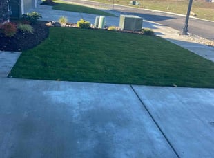 Timothy H.'s Lawn Service service result