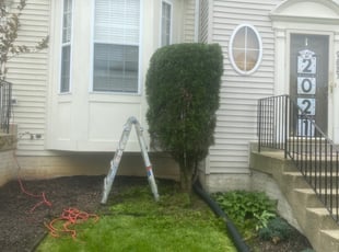 Bush Trimming by Darryl Ware for DeLishia A. in Clinton, MD
