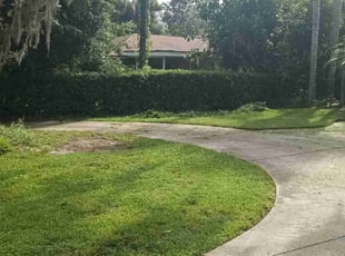 Bush Trimming by Willie Carmichael for Ken P. in Longwood, FL