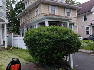 Bush Trimming by Markus Watson for Terrence R. in Rochester, NY