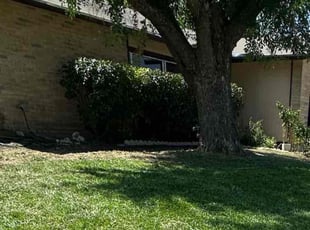 Bush Trimming by Lacy Dixon for Timothy J. in San Antonio, TX