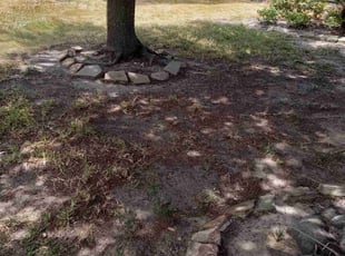 Leaf Removal by Daiby Alvarez for Kirk P. in Spring, TX