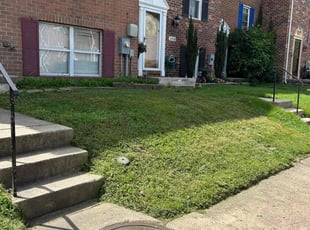 Lorraine P.'s Lawn Mowing Service service result