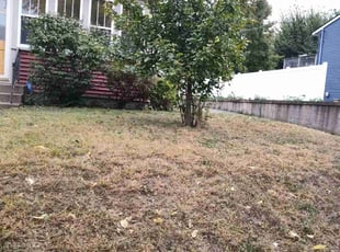 Bush Trimming by Rolf Johnson for Oscar M. in Minneapolis, MN