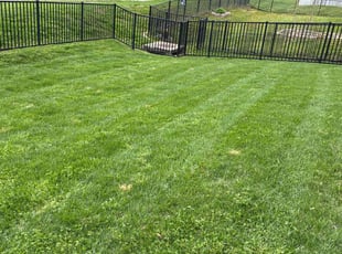 Nick H.'s Lawn Care service result
