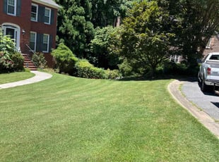 Destin B.'s Lawn Care service result