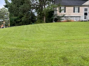 Seth G.'s Lawn Mowing service result