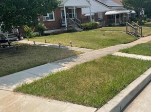 Bush Trimming by David Bazemore for Alexander C. in Baltimore, MD