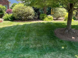 James S.'s Lawn Mowing Service service result