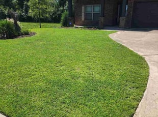 Anette Z.'s Lawn Service service result