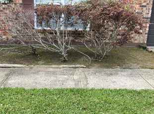 Weeding by DeAndra Clements for Katrina F. in Middleburg, FL