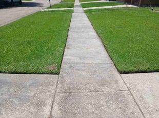 Karli S.'s Lawn Care service result