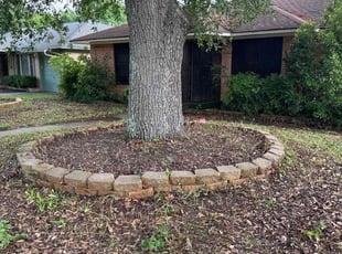 Cleanups by Eric Chaney for Jonathan p. in Dallas, TX