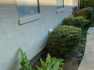 Bush Trimming by Paul Dalrymple for Edna F. in San Antonio, TX